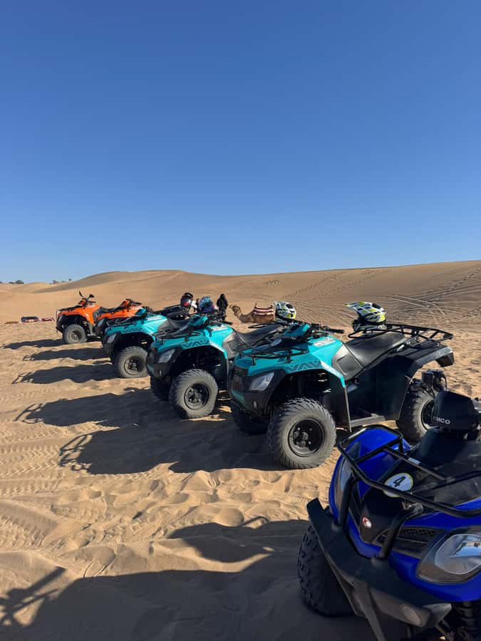 Agadir: Quad Bike Desert&Beach Adventure with Free Pickup - The guides, languages, and quality of the outing