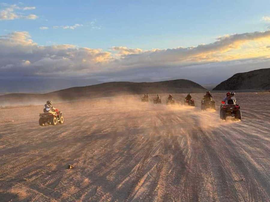 Agadir: Quad Bike Safari Desert With Moroccan Tea - Goats in argan trees, an unusual Moroccan photo stop