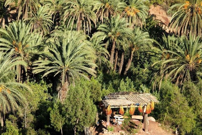 Agadir Quad Biking on the Beach & Sandboarding in the Desert - Who should book this experience