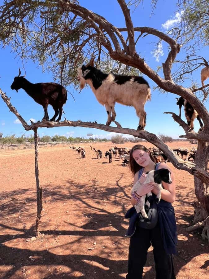 Agadir: Quad Safari with Crocoparc Optional - My final booking advice
