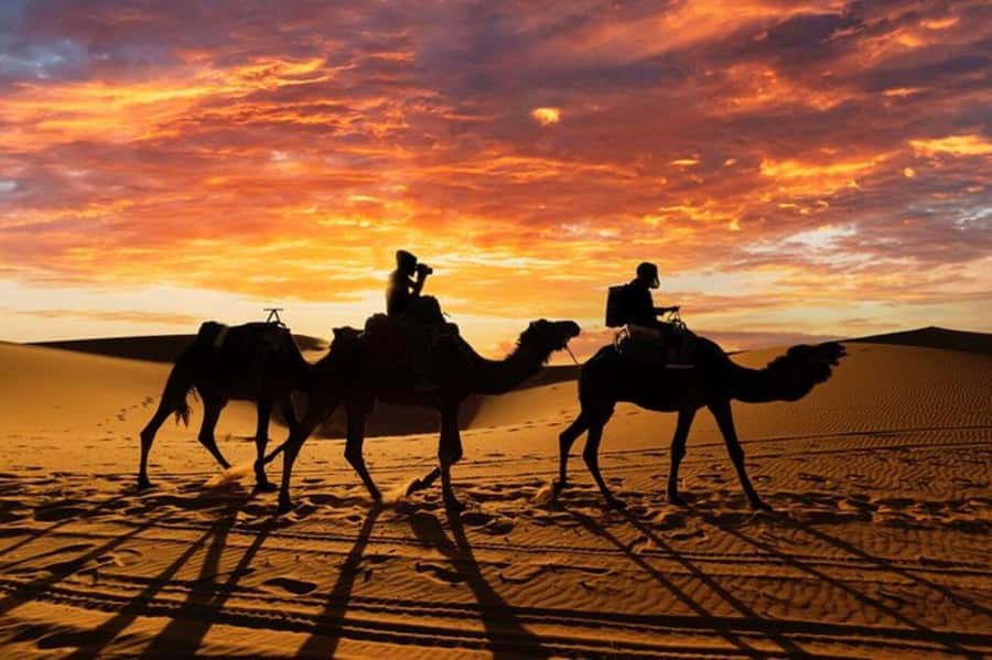 Agadir/Taghazout: Desert & Beach Safari Quad With Transfer - What to wear and pack for Takate
