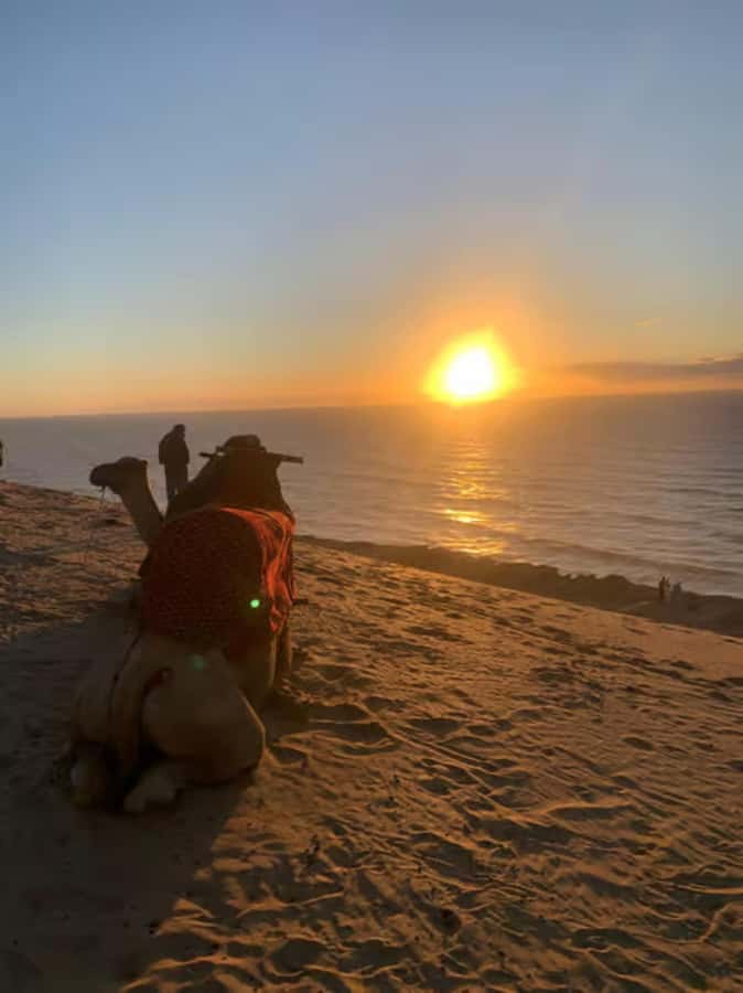 Agadir/Taghazout : Quad Bike & Camel Ride On The Beach - One hour on camels beside Tamraght Bay