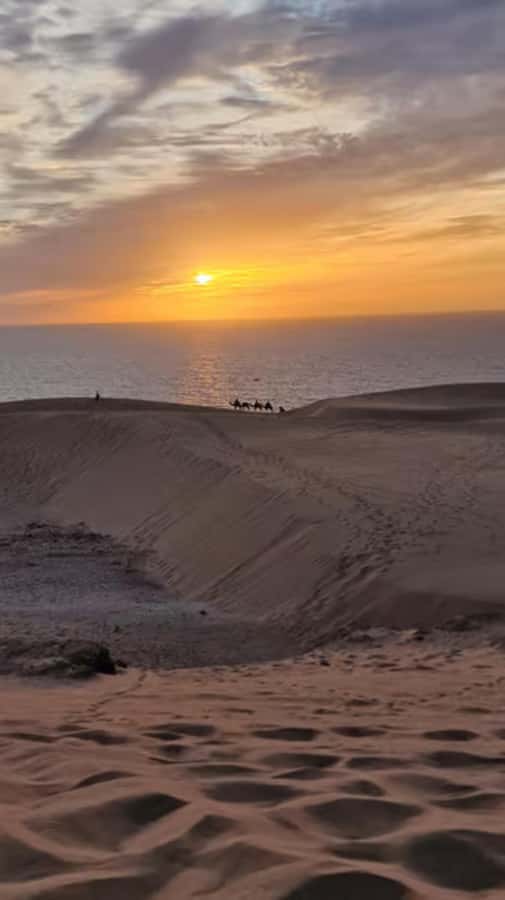 Agadir/Taghazout : Quad Bike & Camel Ride On The Beach - Guides, photos, and the human side