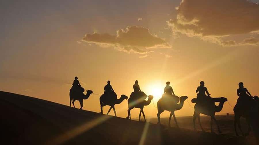 Agafay and atlas: Quad and camel experience - Who should book this Agafay outing?