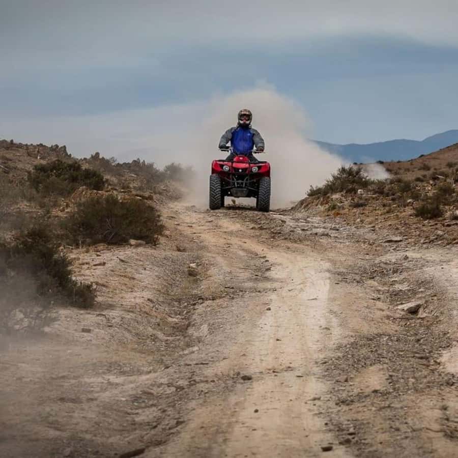 Agafay Desert Day Trip with Lunch, Quad Biking and Swimming - Pool time is the payoff after the dusty activities