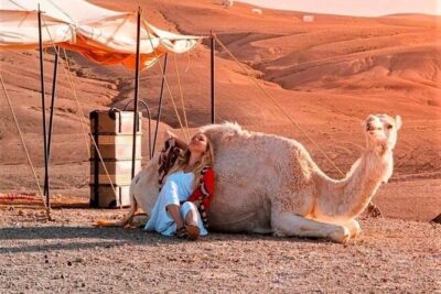 Agafay Desert: Dinner + Show with Quad Bike & Sunset Camel Ride
