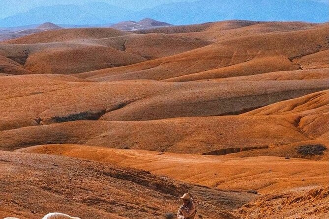 Agafay Desert: Dinner + Show with Quad Bike & Sunset Camel Ride - Guides, group size, and the human side of the trip