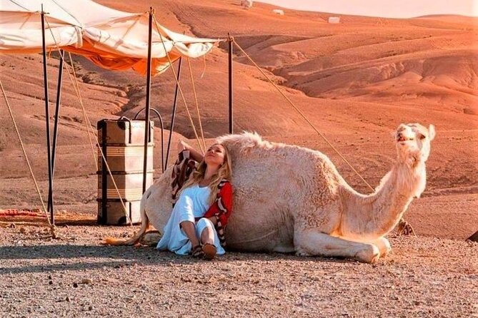 Agafay Desert: Dinner + Show with Quad Bike & Sunset Camel Ride - A possible stop for mint tea and argan oil
