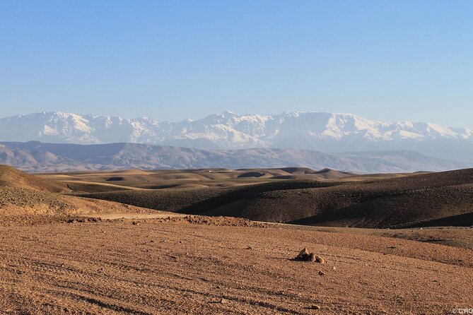Agafay Desert Package, Quad Bike, Camel Ride and Dinner Show - Sunset, Dinner, and the Magic Camp Atmosphere