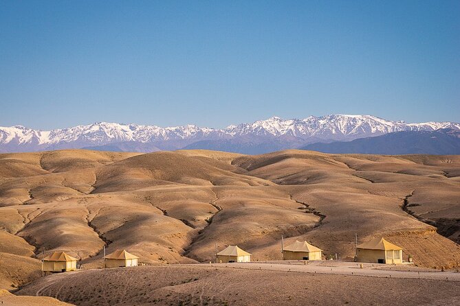 Agafay Desert Package, Quad Bike, Camel Ride and Dinner Show - Who Will Enjoy This Most?