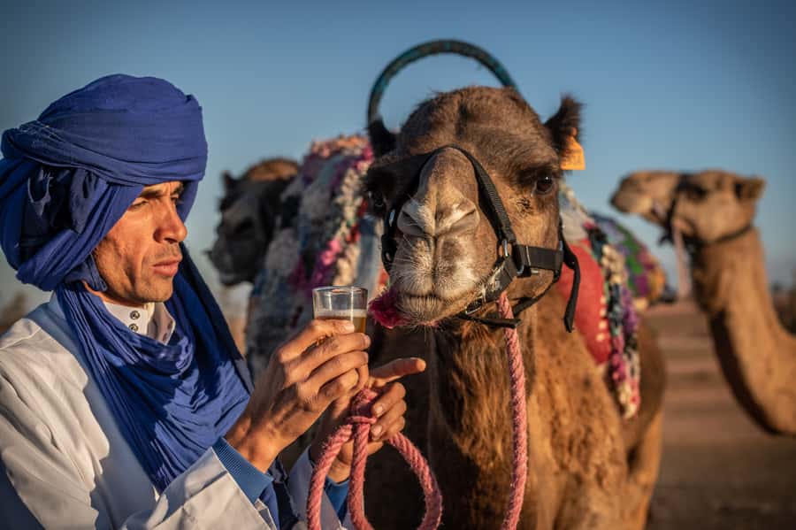 Agafay Desert: Quad Bike and Camel Ride Adventure Tour - Is $106 Good Value?