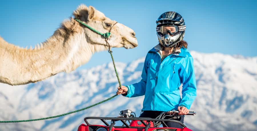 Agafay Desert: Quad Bike and Camel Ride Adventure Tour - The Camel Ride and the Oasis Stop