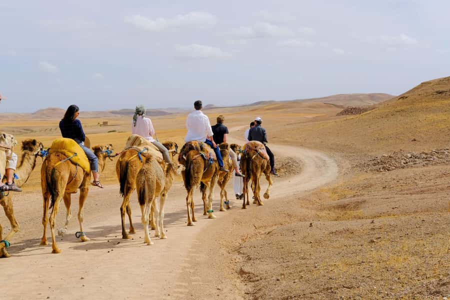 Agafay desert: quad bike and sun set camel ride with dinner - Pickup From Marrakech Keeps the Evening Simple