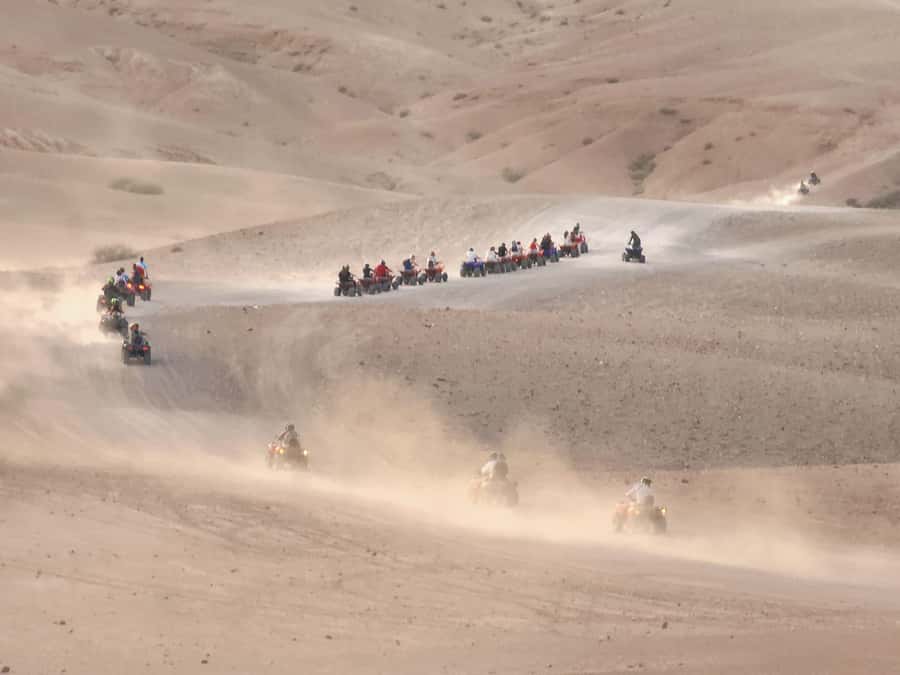 Agafay Desert: Quad Biking, Camel Ride, Lunch - Guides, Communication, and the Human Side