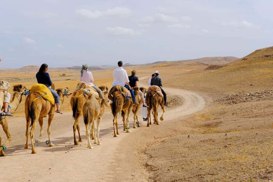 Agafay Desert: Quad, Camel Ride & Luxury Lunch with Pool - What the $76 price delivers