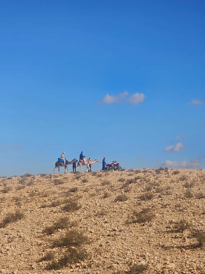 Agafay Desert Tour: Quad, Camel, Lunch & Pool Access - How the timing works in real life