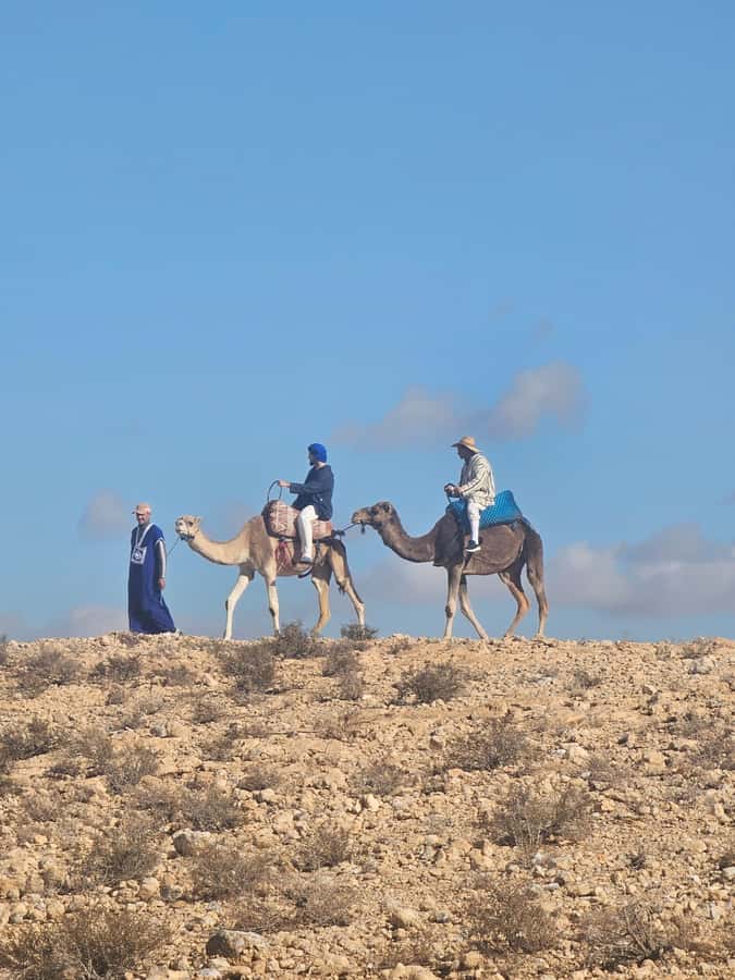 Agafay Desert Tour: Quad, Camel, Lunch & Pool Access - What the $81 price really covers