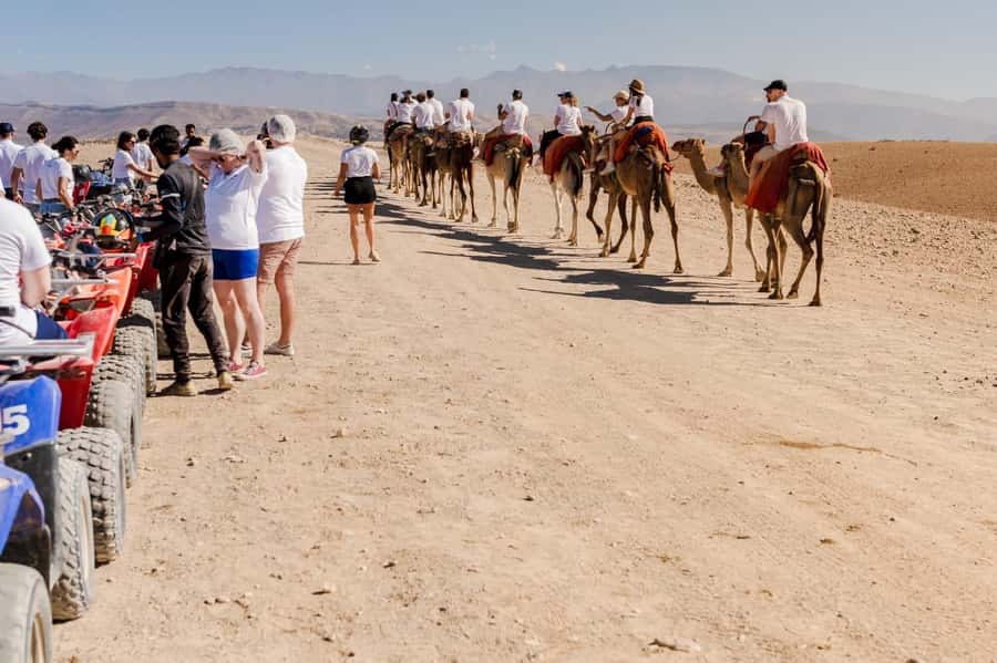 Agafay Desert Tour: Quad, Camel, Lunch & Pool Access - Practical tips for a smoother day