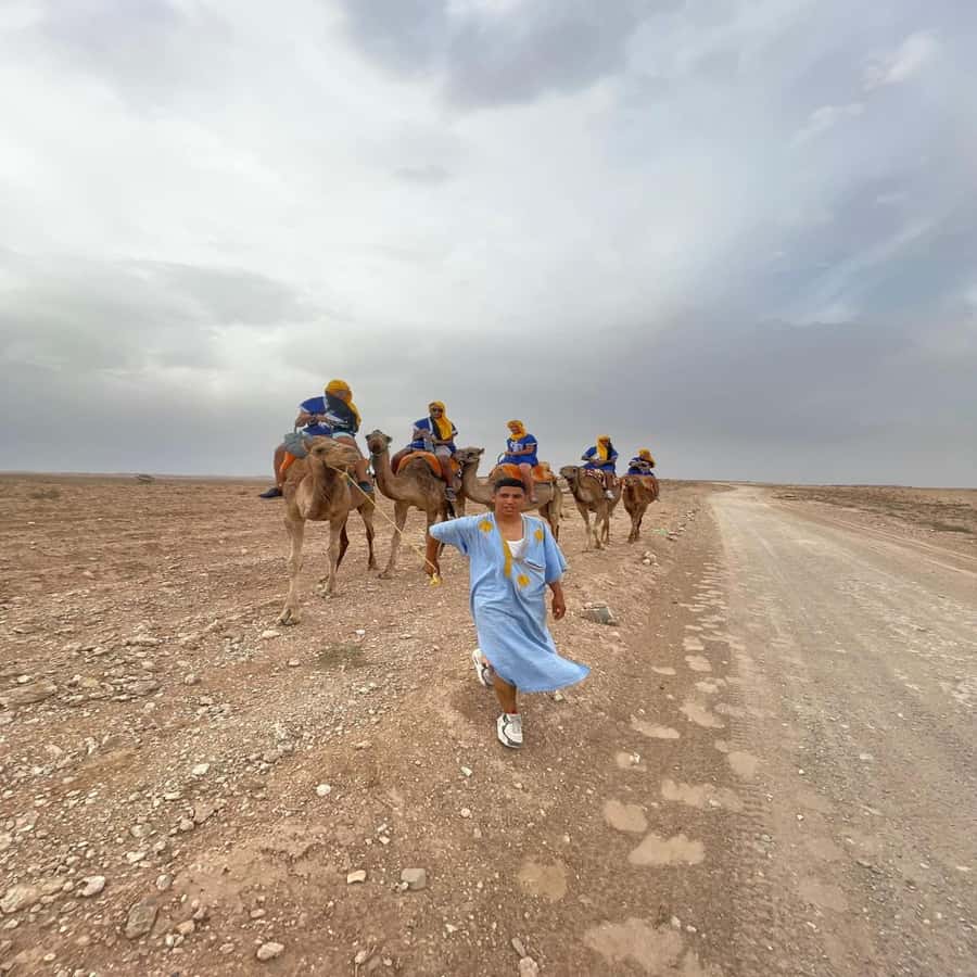 Agafay experience : Dinner with sun set camel or quad ride - Who Will Enjoy This Evening Most?
