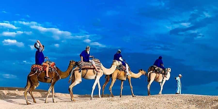 Agafay: Half-Day Rocky Desert Quad & Camel Ride with Lunch - Is $35 good value?