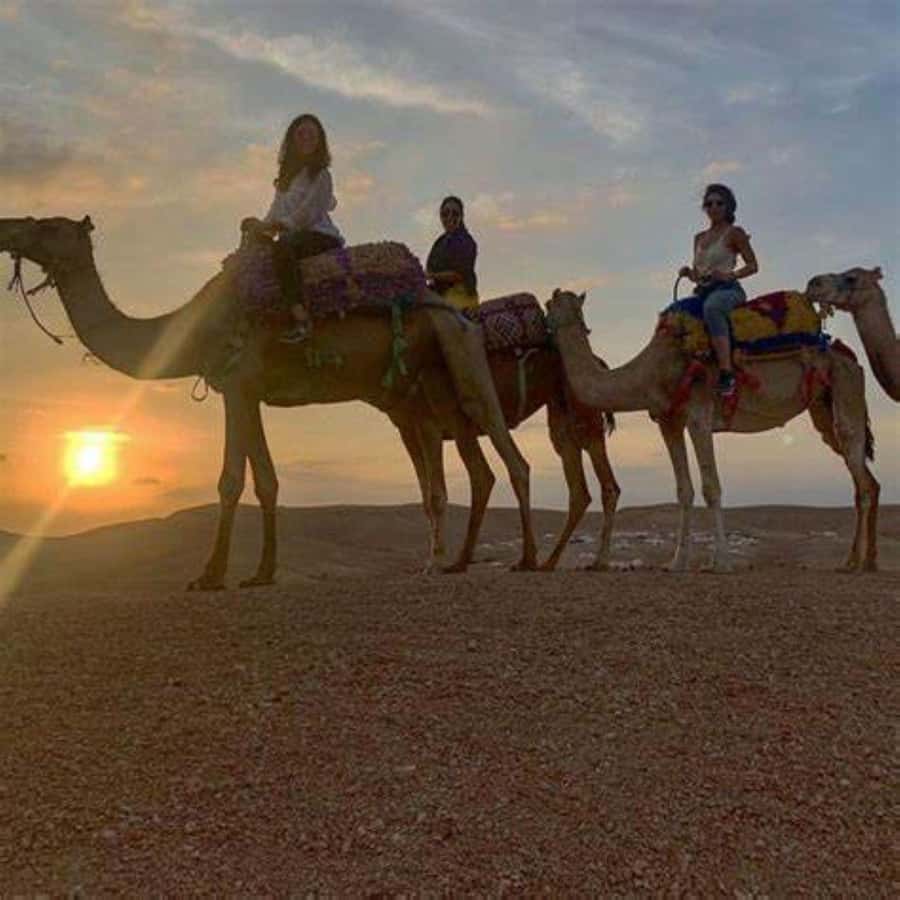 Agafay: Quad, Camel Ride & Dinner Show from Marrakech - Moroccan Dinner Under the Tent