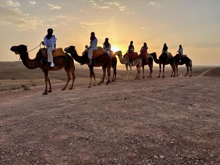 Agafay tour Quade Bike, Sunset and Romantic Dinner Show - Tea and argan oil at the Berber cooperative