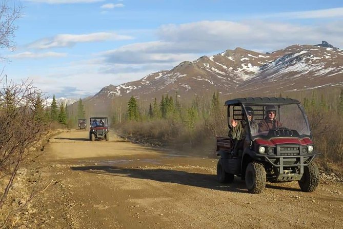 Alaskan Back Country Side by Side ATV Adventure with Meal - From valleys and streams to Black Diamond Peak