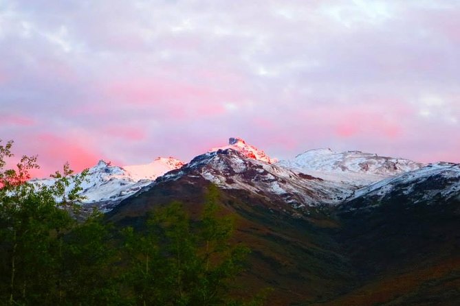 Alaskan Back Country Side by Side ATV Adventure with Meal - Price, timing, and overall value