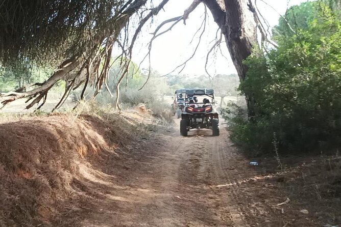 Albufeira 1.5 hour Off-Road Tour Buggy Adventure Tour - Price, group size, and what you receive