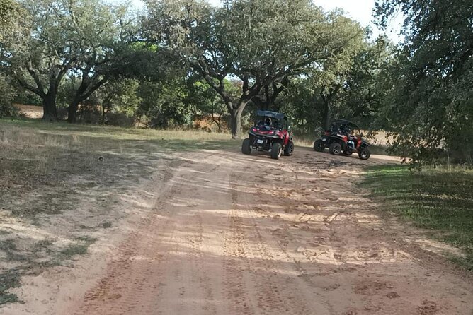 Albufeira 1.5 hour Off-Road Tour Buggy Adventure Tour - Who will enjoy this buggy tour most?