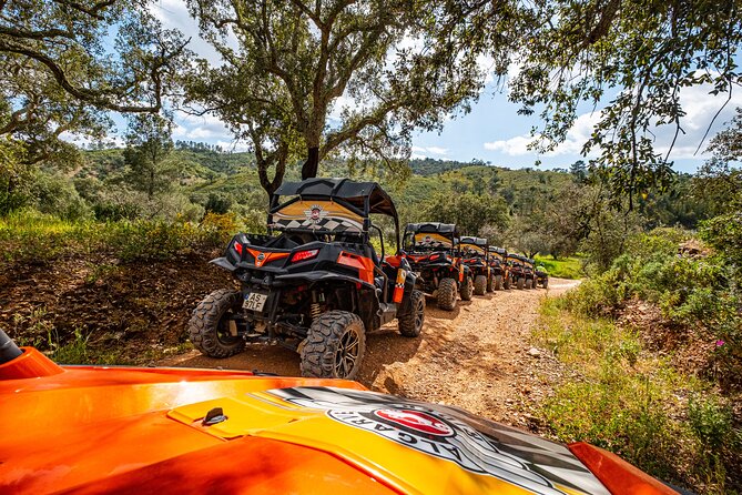 Albufeira: 1.5h Off-Road Buggy Tour - Dirt & Scenic Trails - Who will enjoy this most