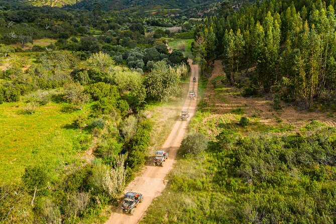 Albufeira: 3-Hour Off-Road Buggy Tour to Hidden Algarve Trails - The equipment, the mess, and the practical side