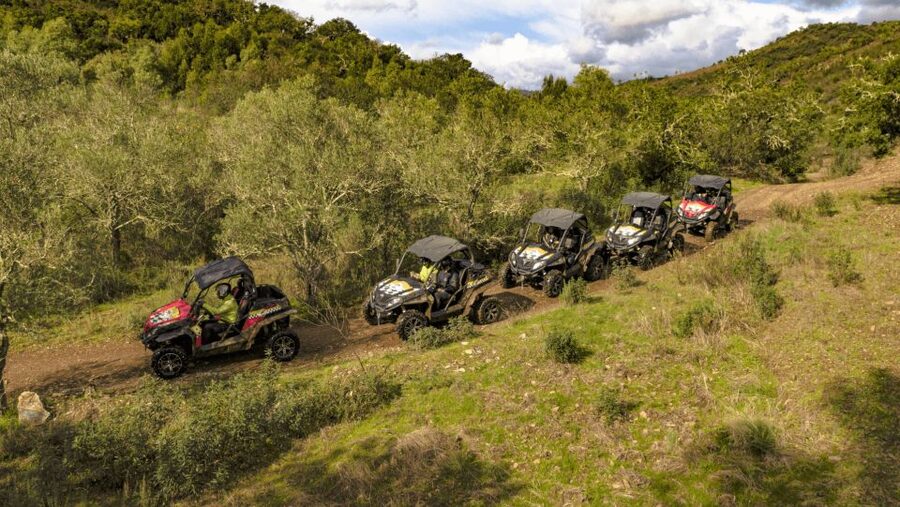 Albufeira: Buggy Adventure through the Algarve Hidden Gems - The Goji Farm stop adds a local touch