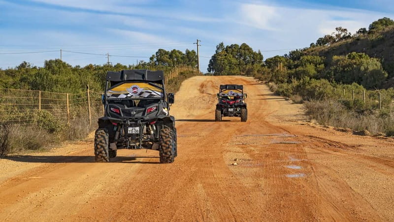Albufeira: Full-Day Buggy Tour with Lunch - Who will enjoy this most?