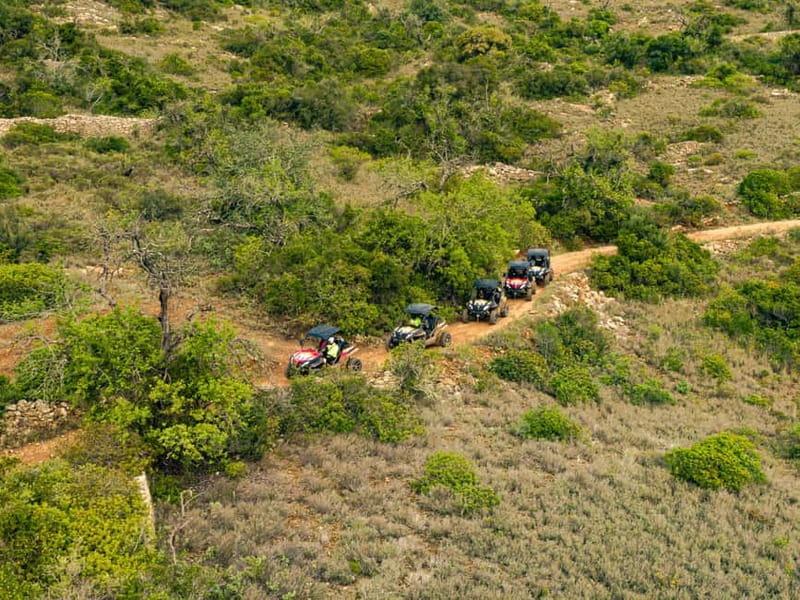 Albufeira: Full-Day Buggy Tour with Lunch - Driving sections for different skill levels