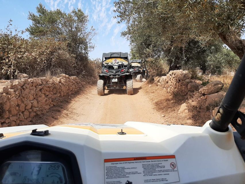 Albufeira: Off-Road Buggy Adventure - Who should book this ride?