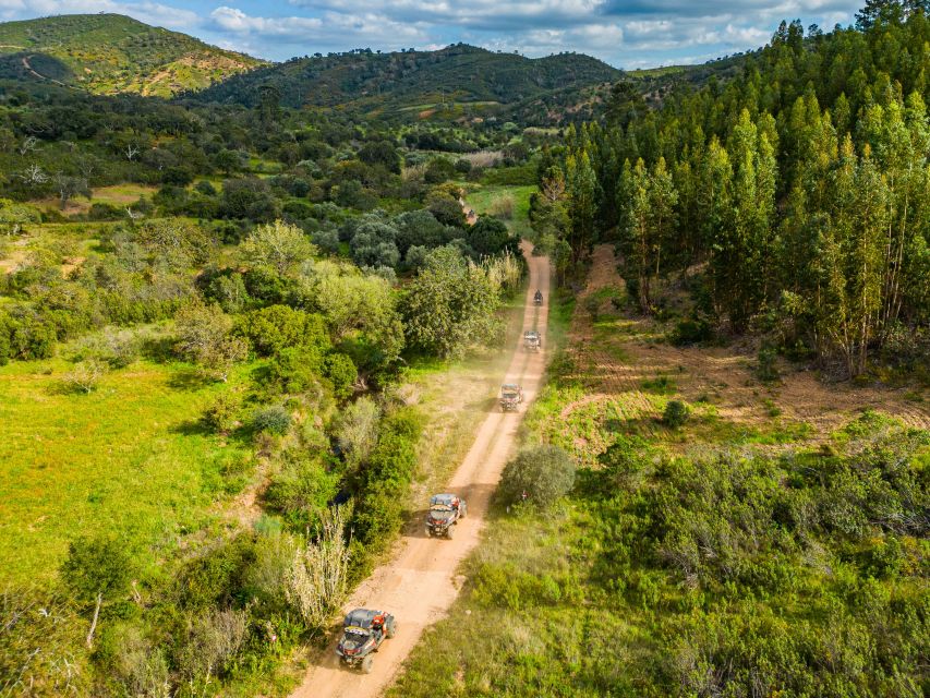 Albufeira: Off-Road Buggy Adventure - Farmland, hills, and rough tracks