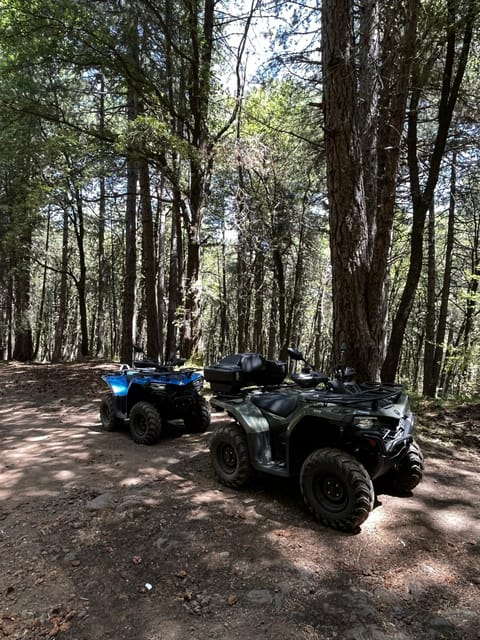 Alcantara: Valley and Gurne dell'Alcantara ATV Adventure - Key things to know before riding