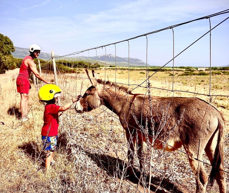 Alghero: Guided Quad Tour with Swim Stop - Honey tasting at a local farm