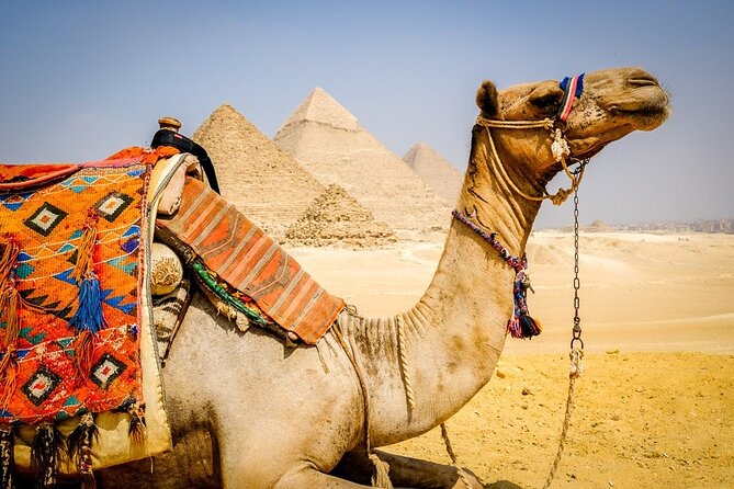 All INC- Pyramids,Camel Ride،(1 hour) four wheeler (ATV)& Lunch - The panorama viewpoint: the best place for group photos