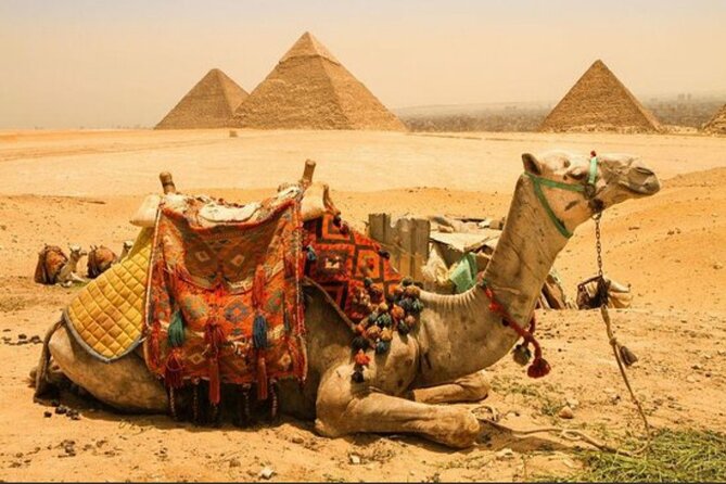 All INC- Pyramids,Camel Ride،(1 hour) four wheeler (ATV)& Lunch - Lunch at a local Egyptian restaurant