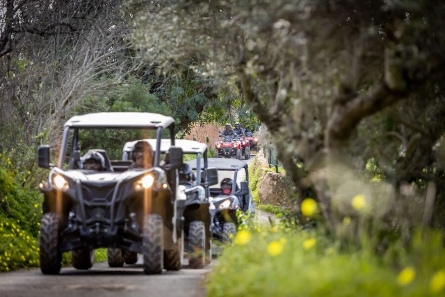 Almancil: Algarve Guided Off-Road Buggy Adventure - What This Algarve Adventure Actually Feels Like