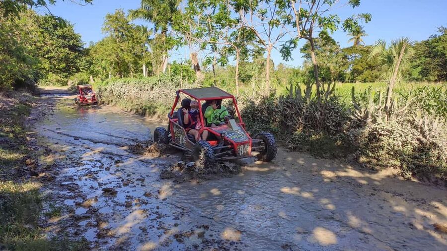 Amber Cove & Taino Bay: Buggy Tour with Swimming & Tasting - Should you book the buggy tour?