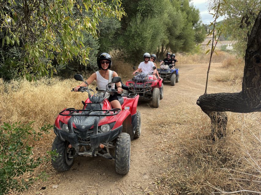 Andratx: Guided Quad Sightseeing Tour - Should you book the Andratx quad tour?