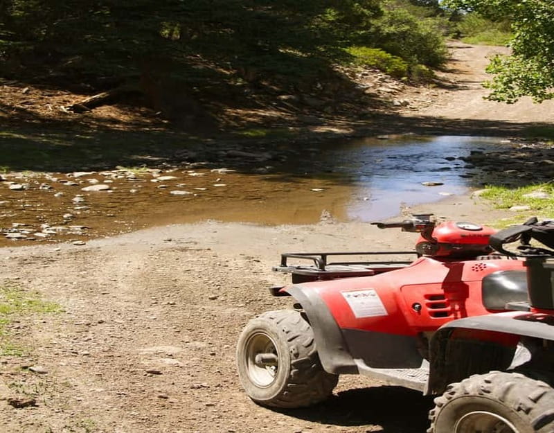 Antalya: Quad-Bike Excursion in Side Forest & Hotel Pick-Up - What the 24-kilometre route feels like