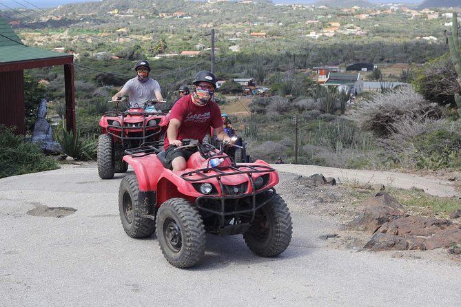 Aruba ATV Adventure: Off-Road Tour in Single and Double Seaters - Shark Bay and Andicuri Beach bring more coast into the day