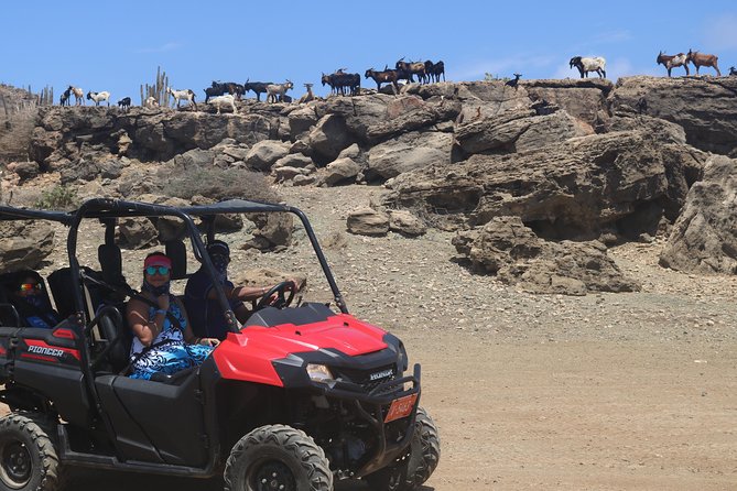 Aruba UTV, ATV Adventure to Secret Beach and Cave Pool - Natural Bridge and Aruba’s broken rock formations