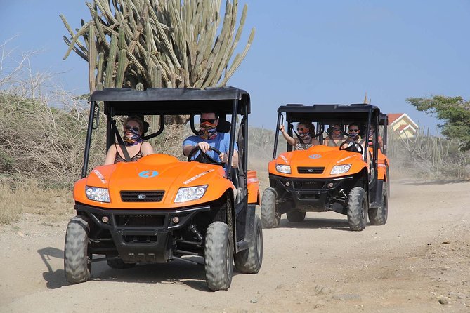 Aruba UTV Tour with Natural Cave Pool and Cliff Jumping - Pickup, Vehicles, and the Feel of the Ride