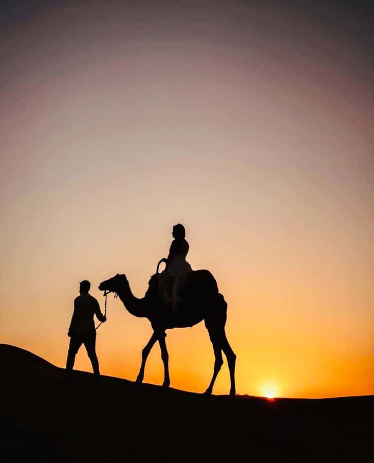 Atlas Mountain & Agafay:Quad Biking and Camel Ride Adventure - The argan cooperative stop