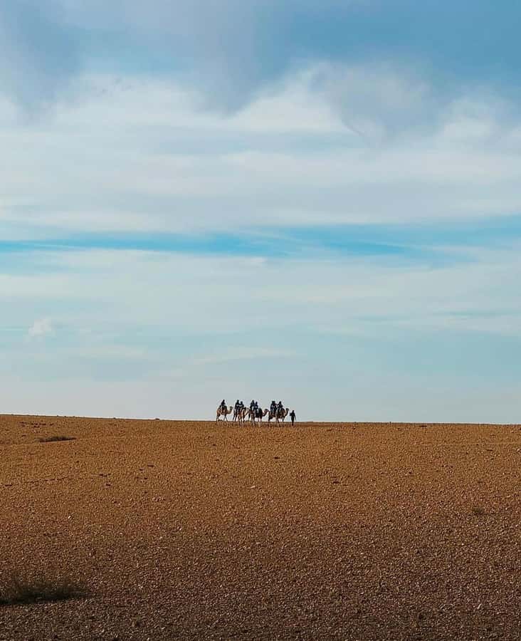 Atlas Mountain & Agafay:Quad Biking and Camel Ride Adventure - Lunch in or near Imlil